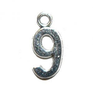 Variation #2801 of Silver Number Charm