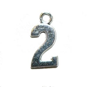 Variation #2787 of Silver Number Charm