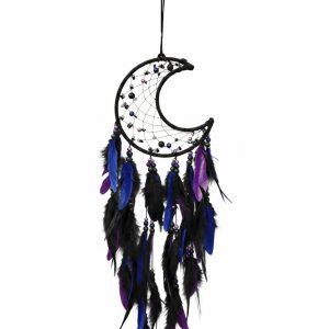 Dream Catcher – Raven’s Moon